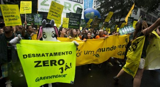 Ativistas em defesa da proteção ambiental
