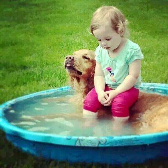 Bebê e cãozinho na piscina