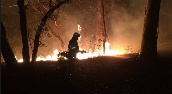 Incêndios já destruíram 77 mil hectares