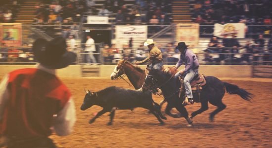 rodeo-2617959_1920