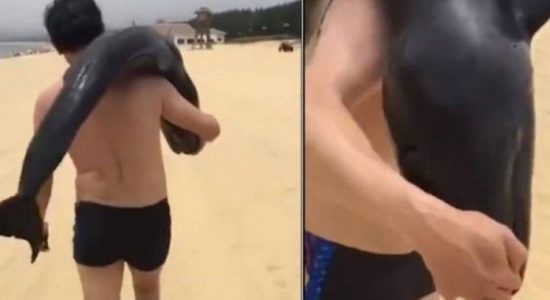 Homem foi filmado carregando animal nas costas