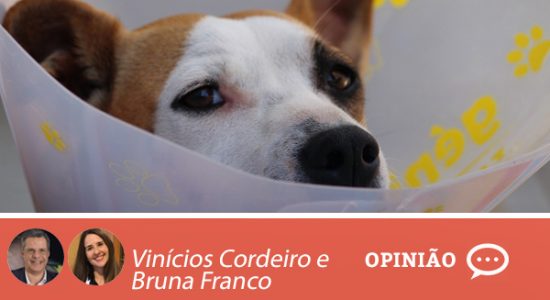 Opinião-vinicios-e-bruna