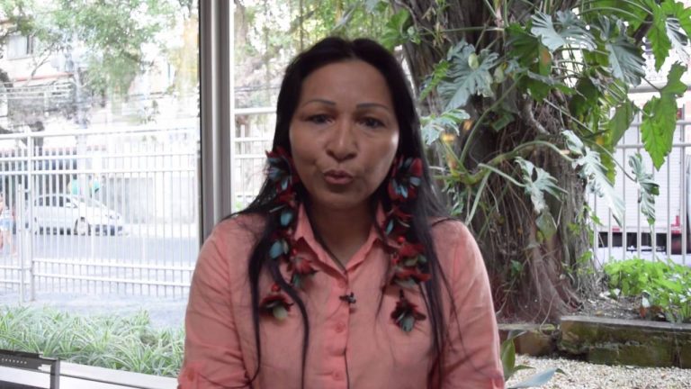 Conheça Sílvia Nobre Waiãpi, índia convocada por Bolsonaro