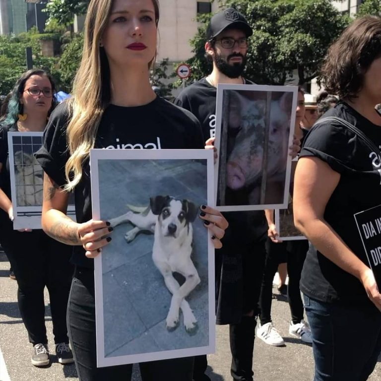 ONG faz ato contra violência de animais na Av. Paulista