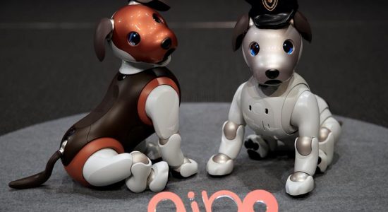 Sony apresenta cão policial robô
