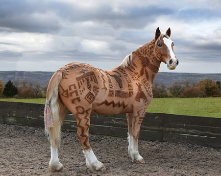 Artista cria desenhos nos pelos dos cavalos