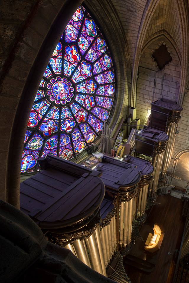 Rosáceas e vitrais da Catedral de Notre Dame