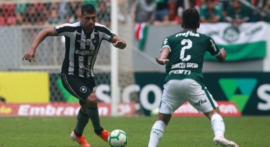 Botafogo queria anular partida contra o Palmeiras
