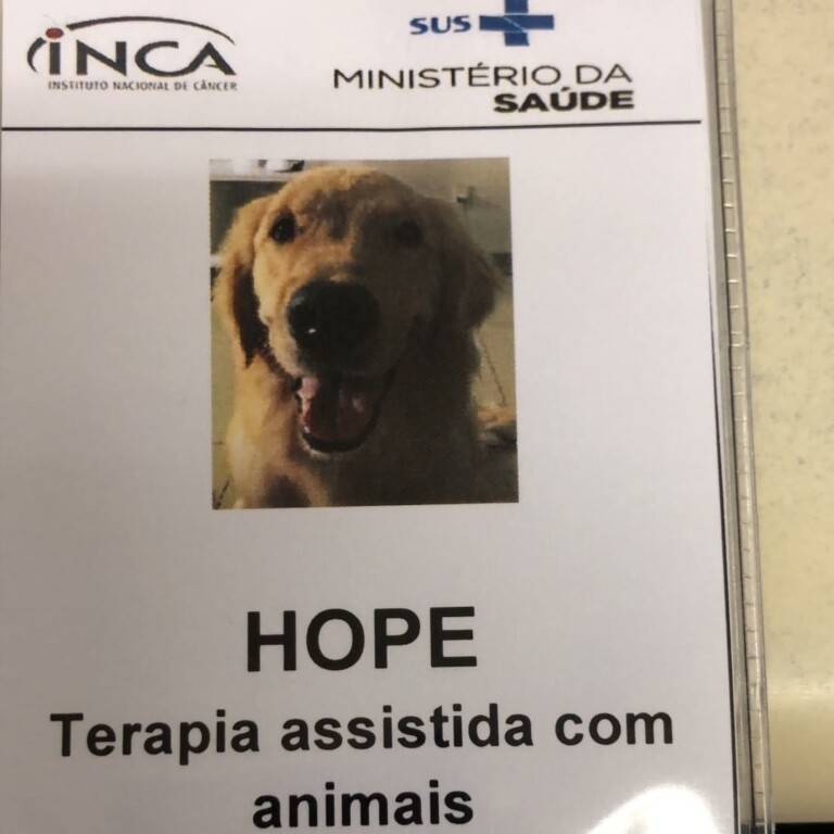 A cadela Hope 