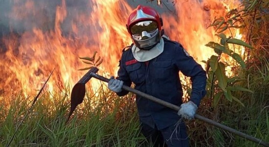 Incêndios florestais devastam a floresta amazônica