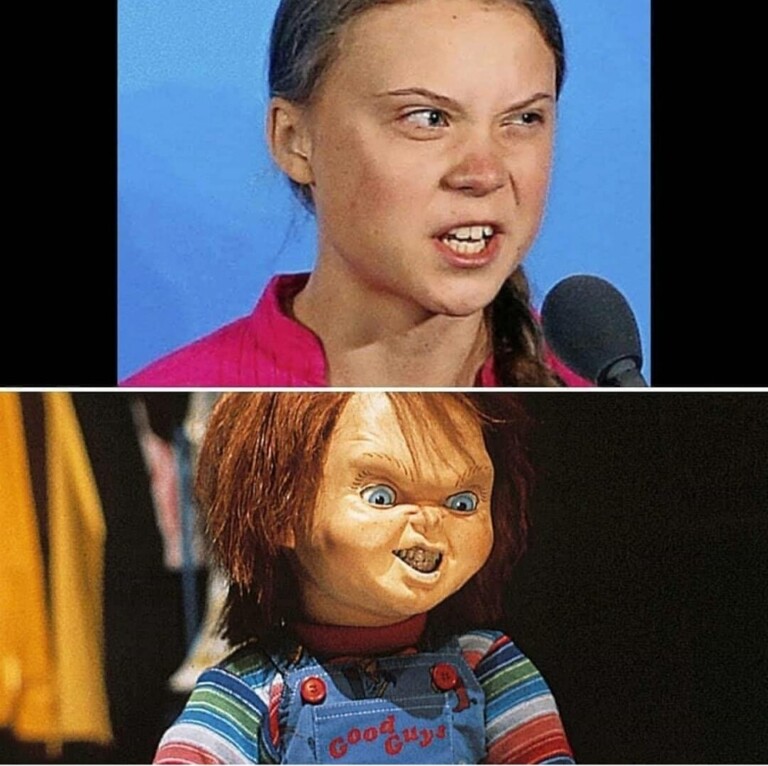 Memes Greta Thunberg