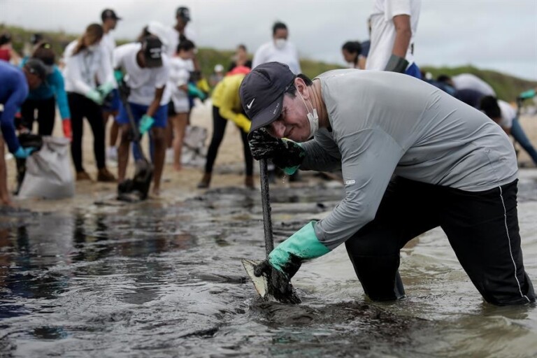 Voluntários retiram óleo de praias do Nordeste
