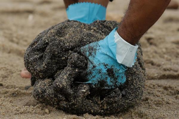 Voluntários retiram óleo de praias do Nordeste