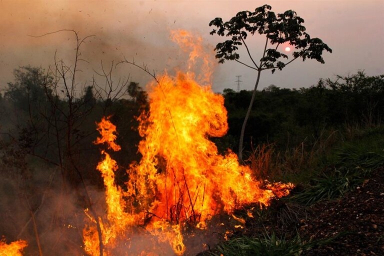 Queimadas no Pantanal começaram no dia 26 de outubro