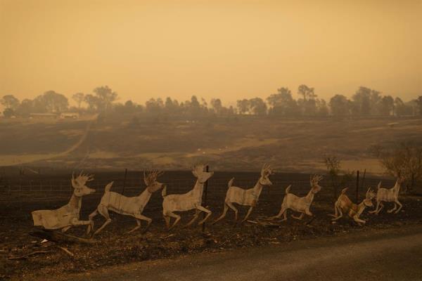 Incêndio na Austrália é quase 6 vezes maior do que no Brasil 