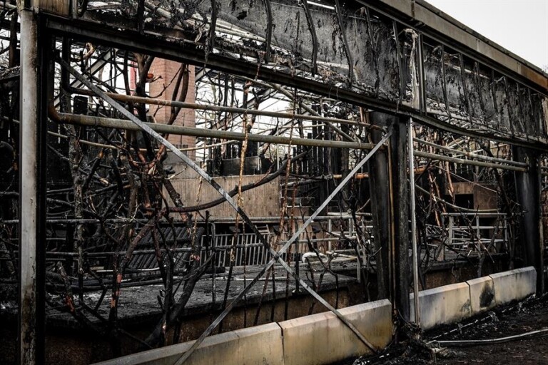 Santuário de macacos na Alemanha pegou fogo 