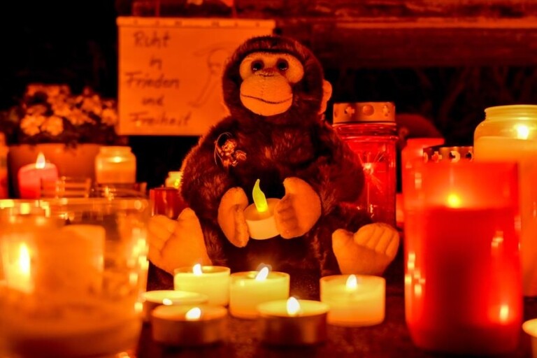 Santuário de macacos na Alemanha pegou fogo 