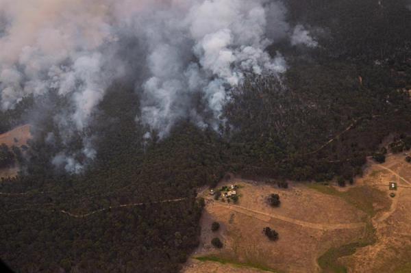 Incêndio na Austrália é quase 6 vezes maior do que no Brasil 