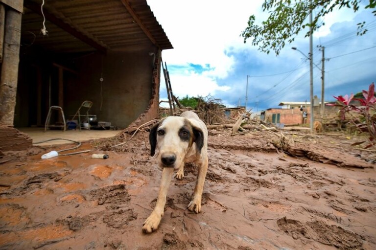Chuvas castigaram cidades em Minas Gerais