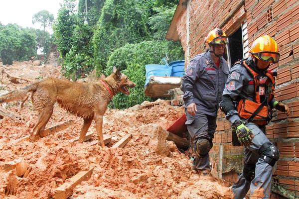 Pessoas morreram e várias estão desaparecidas após deslizamento no Morro do Macaco Molhado, no Guarujá