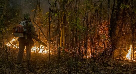 Militares estão atuando nos combates aos incêndios no Pantanal