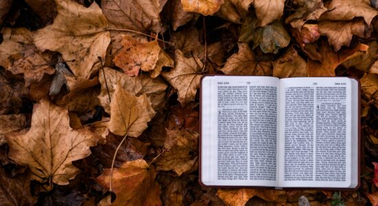 biblia no meio de folhas caídas de outono