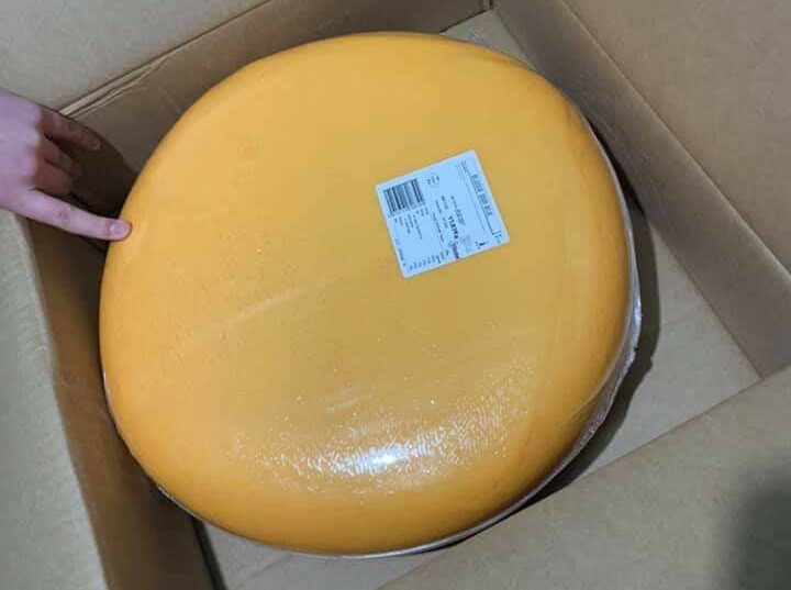 Mulher sai com um fazendeiro e ganha rodela de 12 kg de queijo