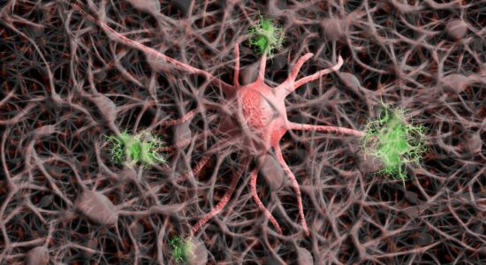 células nervosas nerve-cells-5901770_1920