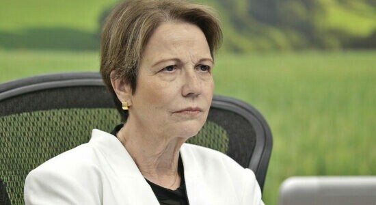 Ex-ministra da Agricultura Tereza Cristina