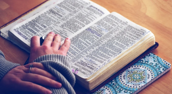STF derrubou lei que incluía Bíblias em bibliotecas e escolas públicas