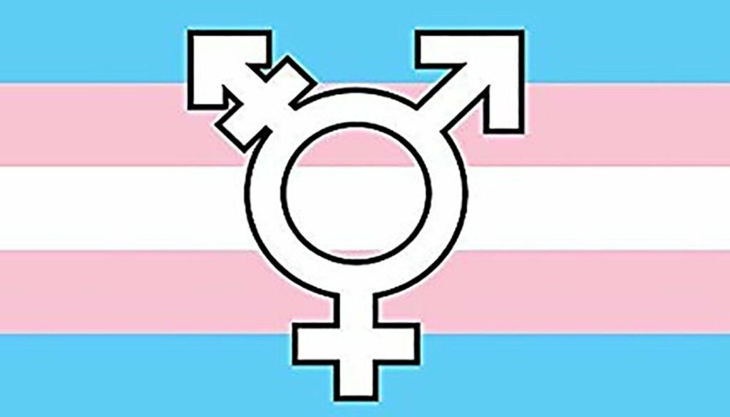 Símbolo Transgênero transexual bandeira lgbt