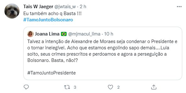 Manifestações de apoio a Bolsonaro no Twitter