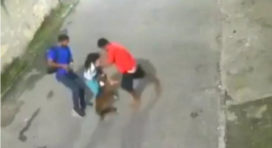 Menino é atacado por pitbull