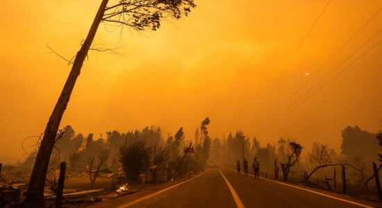 Incêndio em Santa Juana, Chile