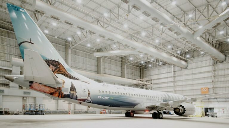 Avião que trouxe o presidente Jair Bolsonaro tem pintura de Harry Potter